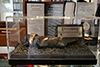 photos-4.jpg